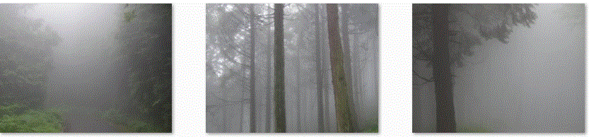 f0231709_1618962.gif
