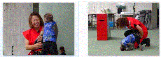 f0231709_1661549.gif