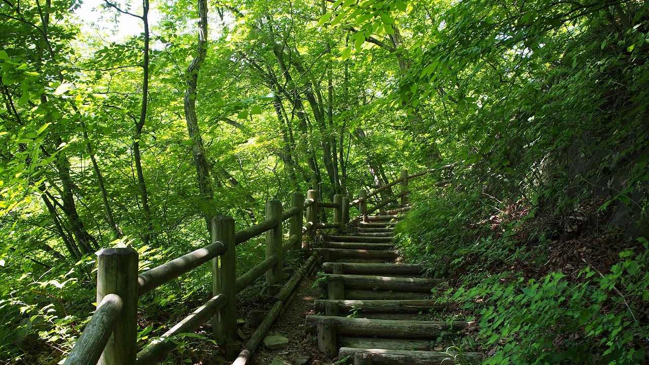b0021211_12481449.jpg