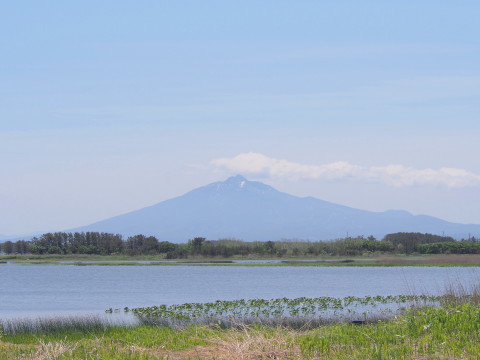 ニッコウキスゲ:ベンセ湿原(つがる市)*2016.06.06_b0147224_21111485.jpg