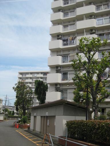 c0217931_10345942.jpg