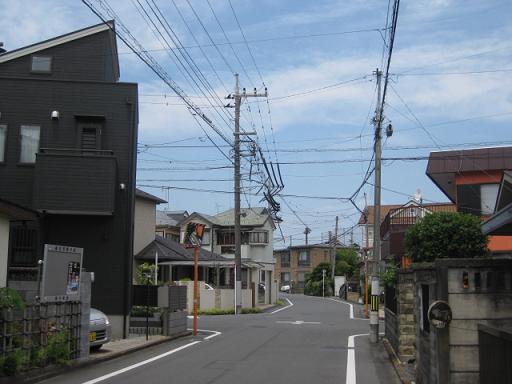 c0217931_1037378.jpg