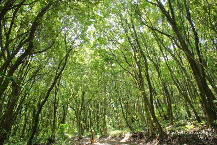 e0347431_22375087.jpg