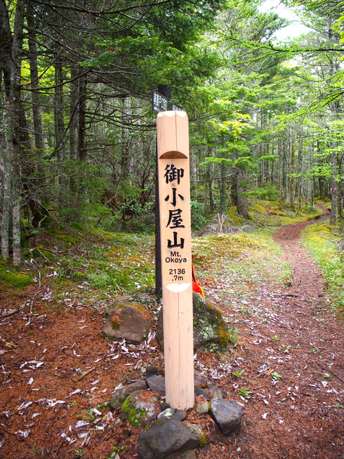 a0267332_16522026.jpg