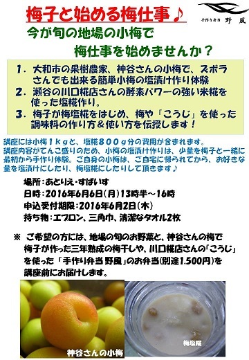 2016年 梅仕事【その6】梅子、先生デビュー♪ - 手作り弁当　野風