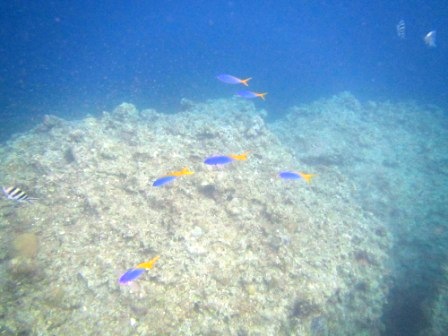 a0189838_161447.jpg