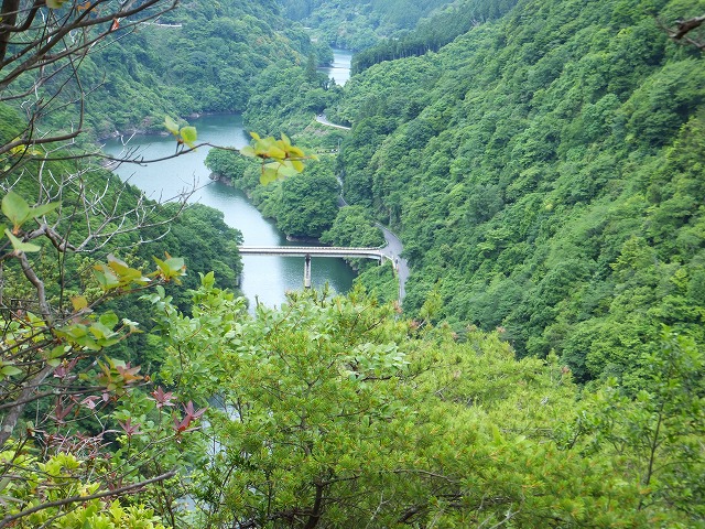 d0048350_10471996.jpg