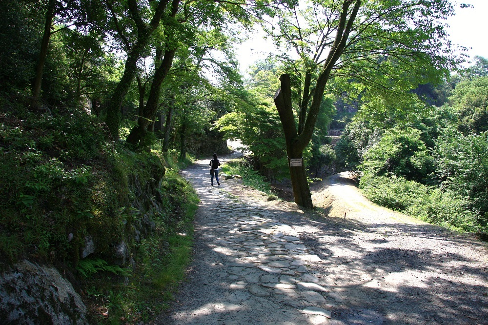 中津川市の苗木城跡散策_c0294553_10490344.jpg