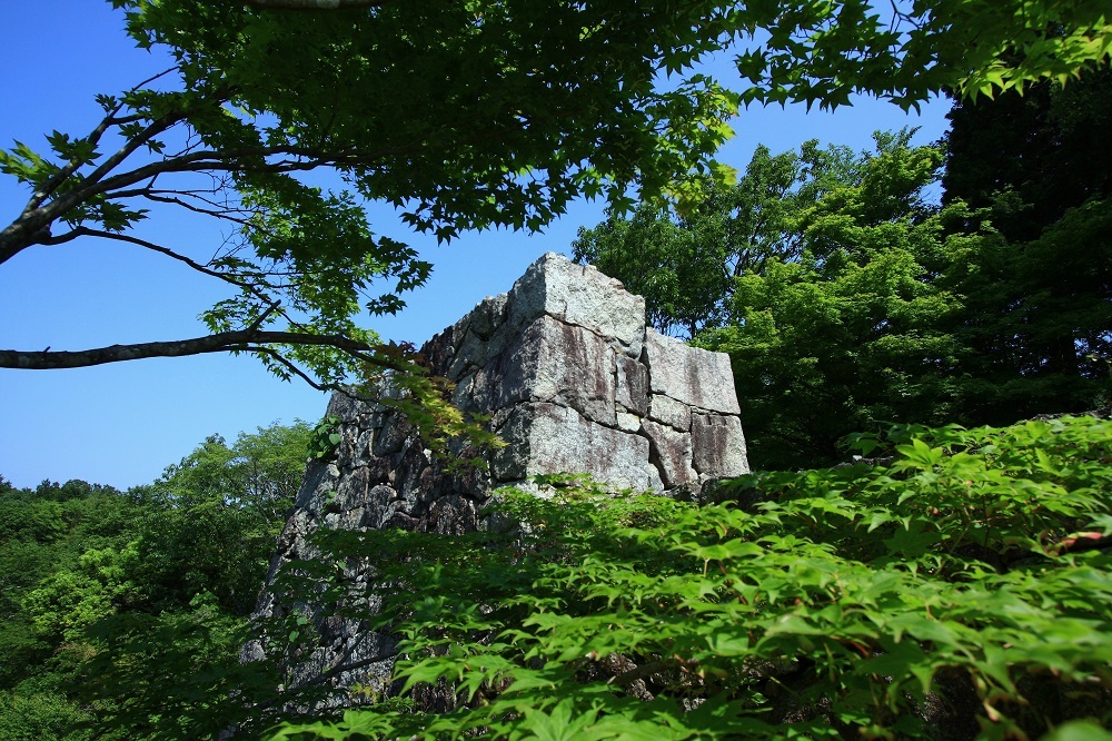 中津川市の苗木城跡散策_c0294553_10533243.jpg