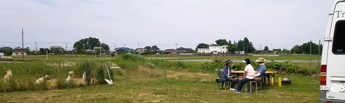 f0071053_95427.jpg