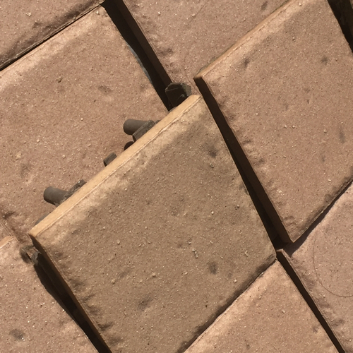 f0349957_09215612.jpg