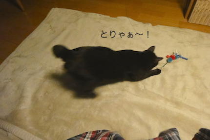 f0054859_17164177.jpg