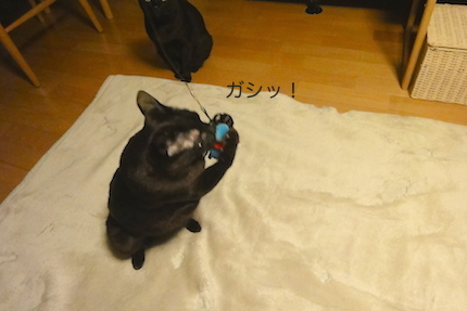 f0054859_17165970.jpg