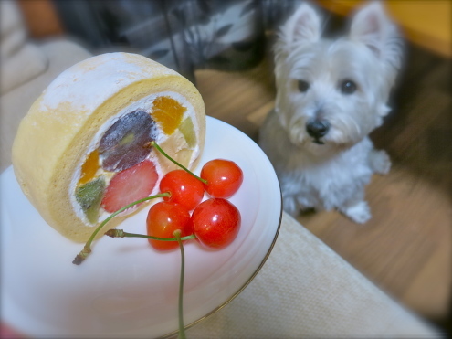 今年も走りました!_c0260460_09054943.jpg