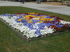 a0124077_6152245.jpg