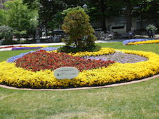 a0124077_615850.jpg