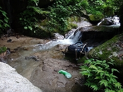 雨上がりの小さい沢_e0064783_23274373.jpg