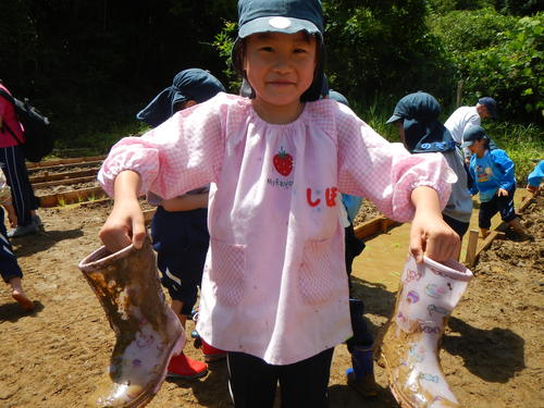 こころの日 どろんこ遊び みかづき幼稚園のブログ