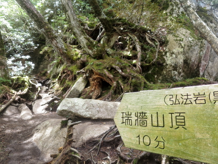 瑞牆山　前編　山頂へ_b0339488_21423386.jpg