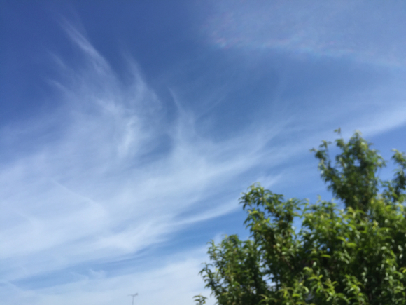 d0135694_13015555.jpg
