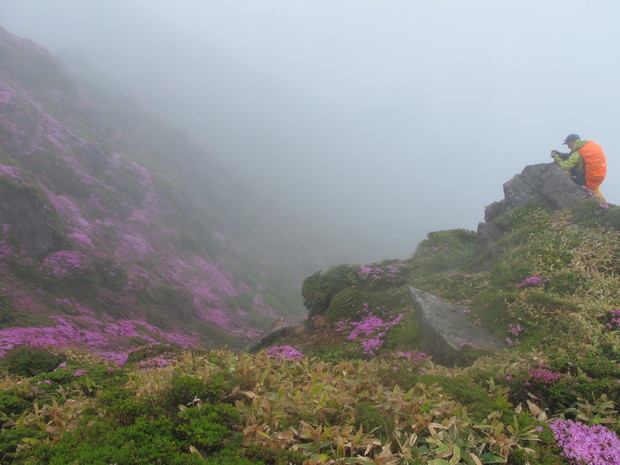 a0166196_14281567.jpg
