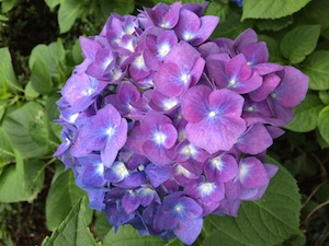 b0139996_1863993.jpg