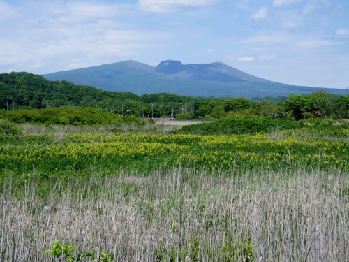 海岸草原へ_c0340898_16521042.jpg