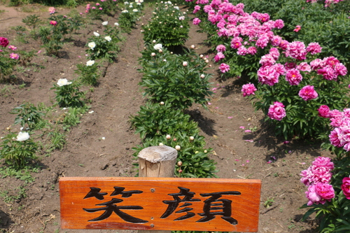 c0075701_1332935.jpg
