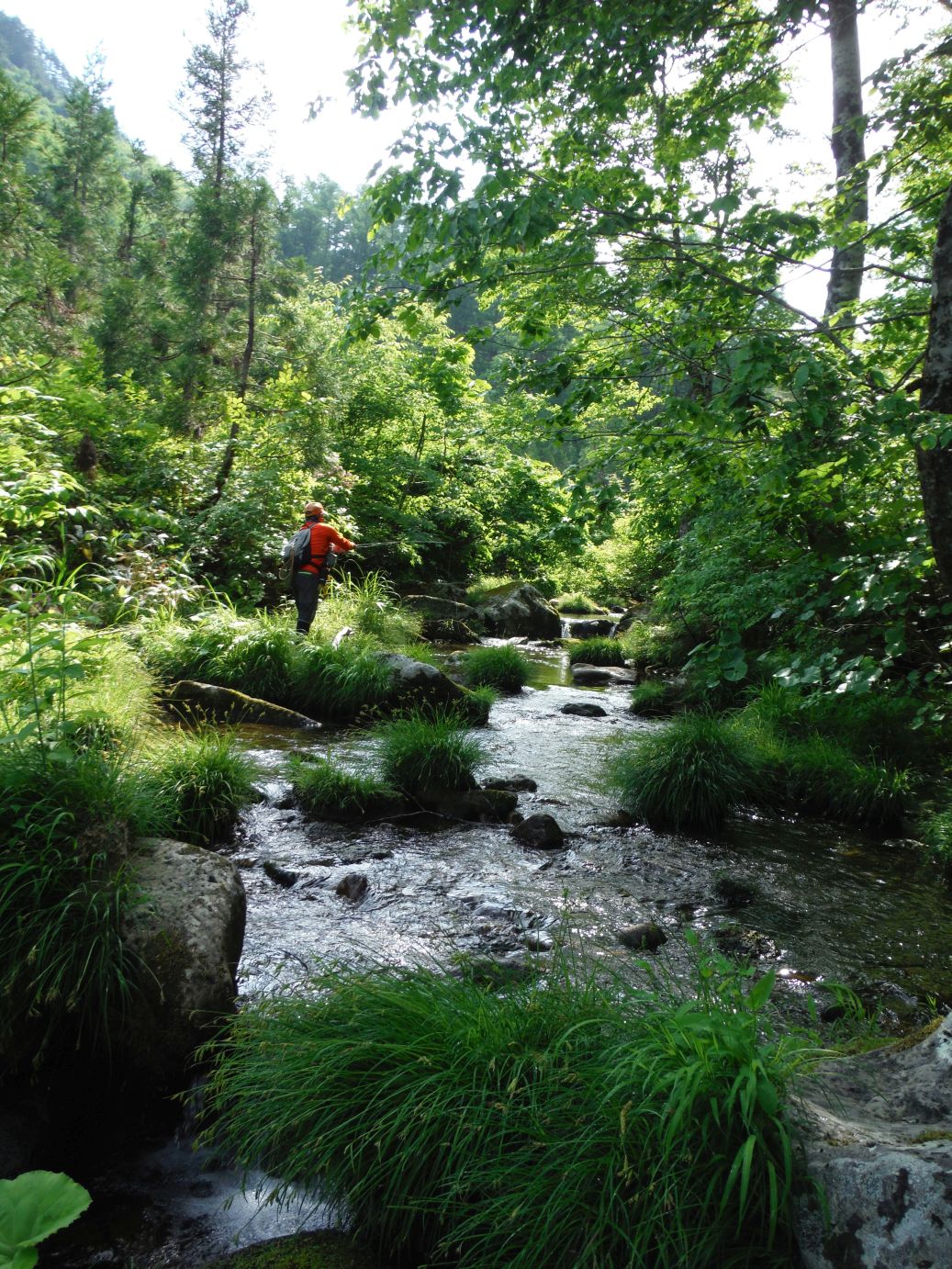 b0172805_8521135.jpg