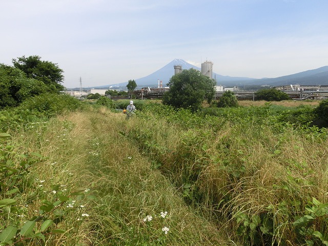 草刈り機の人数分確保が最大の課題 ジヤトコさんの多数参戦で活気を帯びる「滝川の草刈り清掃」_f0141310_744203.jpg