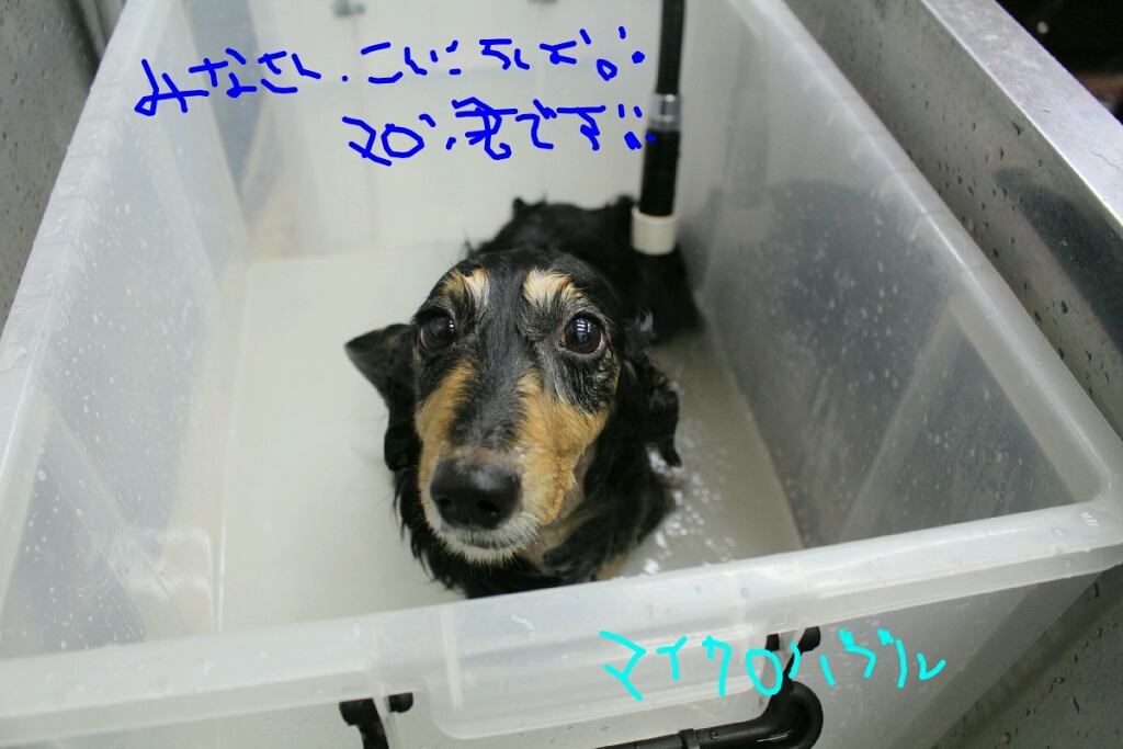マッサージ_b0130018_20255424.jpg