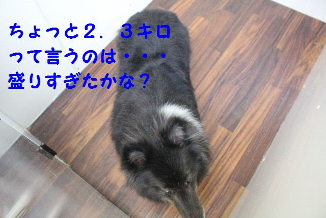 はまぐり♪_b0130018_8481472.jpg