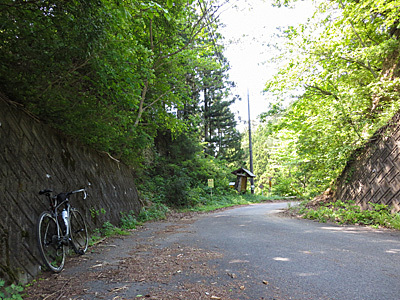 雛鶴峠〜鈴懸峠〜犬目宿_f0341635_23474540.jpg