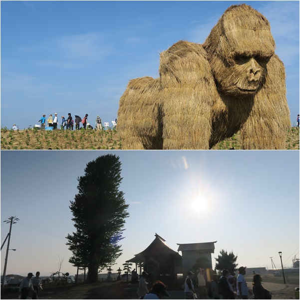 岩沼市第４回「千年希望の丘」植樹祭_f0313744_250825.jpg