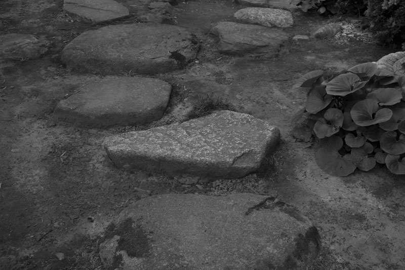 d0342652_1642485.jpg