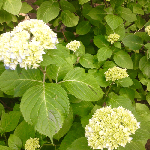 f0237452_08393195.jpg