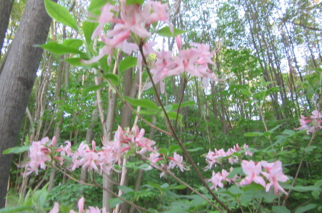 b0247153_23012396.jpg