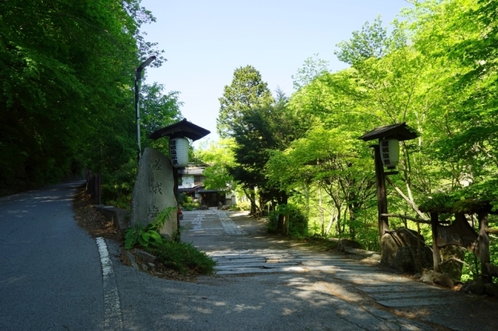 山梨百名山＠源次郎岳 2016.05.18(水)_f0344554_13422040.jpg