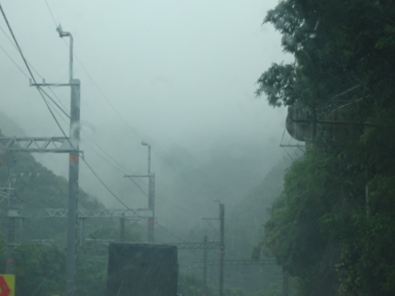 梅雨だ！雨だ！ボランティア活動休止だ！_c0108460_17392044.jpg