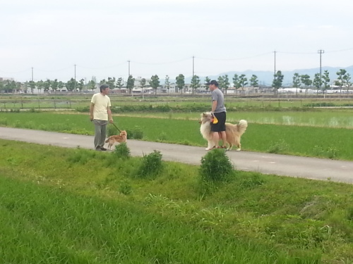 6月7日(火) おはようございます・・今日は昼「勝山教室」があります。_e0327460_05544948.jpg