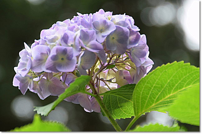 b0053765_21190712.jpg