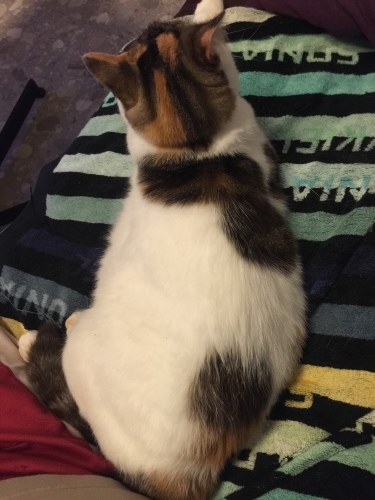 No title._c0153966_21004121.jpeg