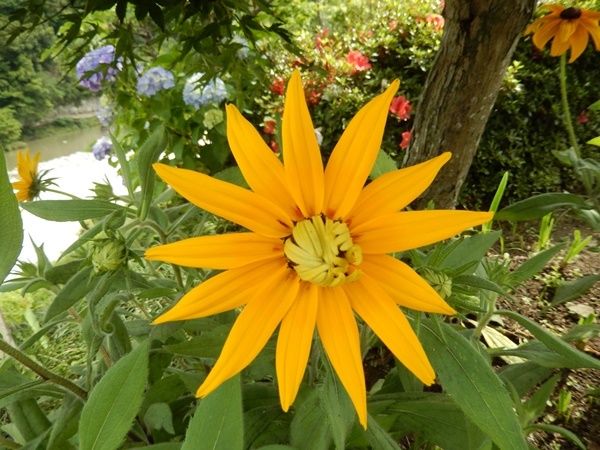 e0345868_22245070.jpg