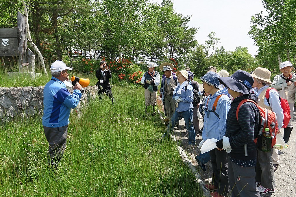 菅平で山野草教室_f0186275_09434576.jpg