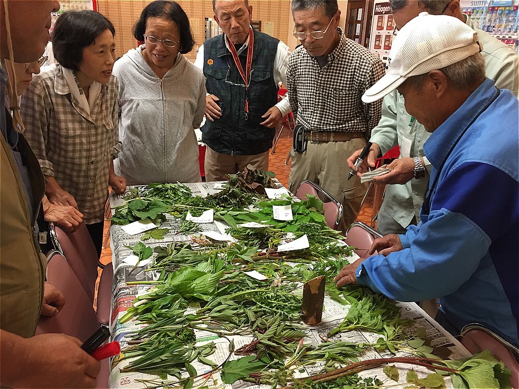 菅平で山野草教室_f0186275_09442315.jpg