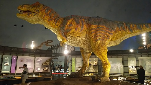 e0020682_0243049.jpg