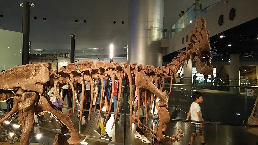 e0020682_026363.jpg