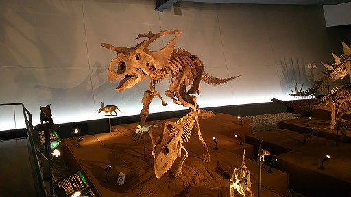e0020682_034126.jpg