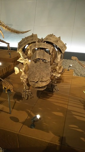 e0020682_0353570.jpg