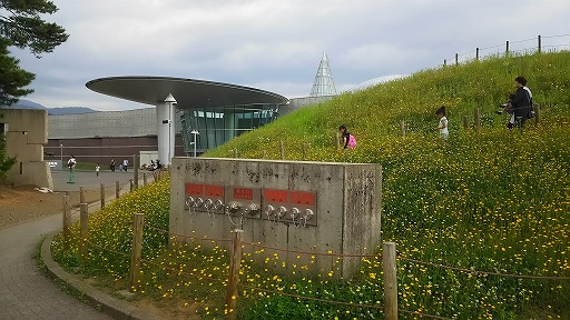e0020682_10531257.jpg